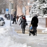 За год 119 белгородских студенческих семей получили матпомощь при рождении ребёнка