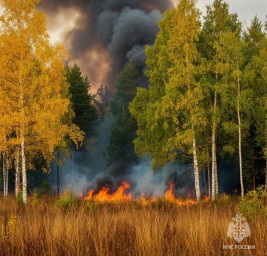 В Зилаирском районе Башкирии ликвидировали лесной пожар