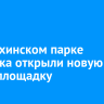 В Лисихинском парке Иркутска открыли новую скейт-площадку