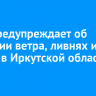 МЧС предупреждает об усилении ветра, ливнях и грозах в Иркутской области 12 мая
