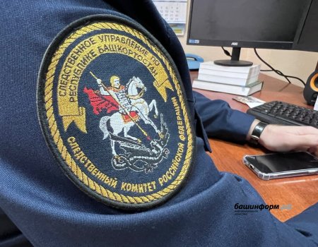 Жителя Башкирии на кладбище убило спиленным деревом
