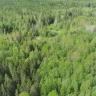 Лесной пожар в Костромской области тушили почти сутки