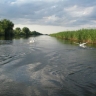Прибывающая в паводок по Волге вода нехарактерного цвета. Как это объясняют рыбаки