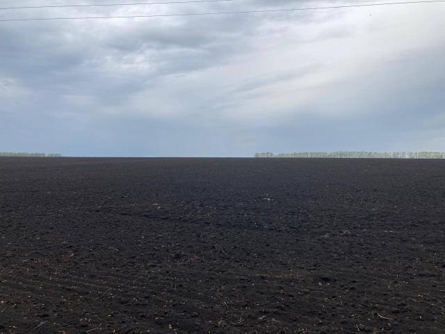 В Башкирии упростят оформление земли для бизнеса с 2026 года В Башкирии упростят оформление земли для бизнеса с 2026 года