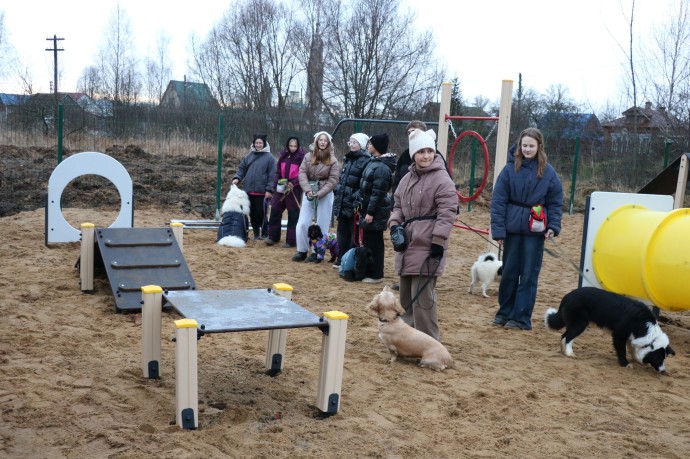 Около 50 площадок для выгула животных создано в Ярославской области Около 50 площадок для выгула животных создано в Ярославской области