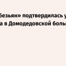 «Оспа обезьян» подтвердилась у пациента в Домодедовской больнице