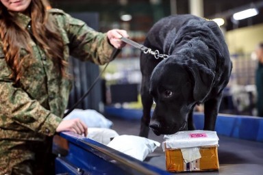 В Москве собака нашла посылку из Германии, в которой банки кофе были начинены деньгами