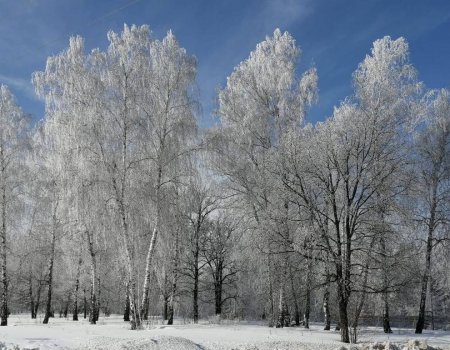 В Башкирию придут крепкие морозы