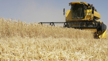 Россия экспортирует зерновых на уровне 55 миллионов тонн, заявил Патрушев