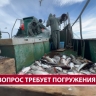 "Река нагревалась до +29 градусов": учёные обсудили причины провальной путины на Сахалине