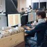 В СФ готовят предложения по защите авторских прав при обучении ИИ