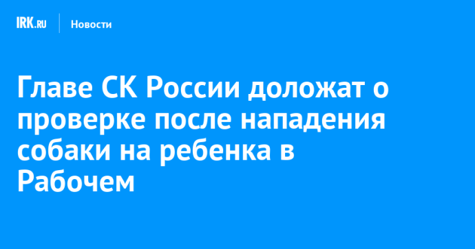 Главе СК России доложат о проверке после нападения собаки на ребенка в Рабочем