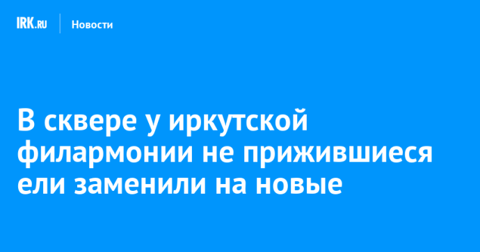 В сквере у иркутской филармонии не прижившиеся ели заменили на новые В сквере у иркутской филармонии не прижившиеся ели заменили на новые