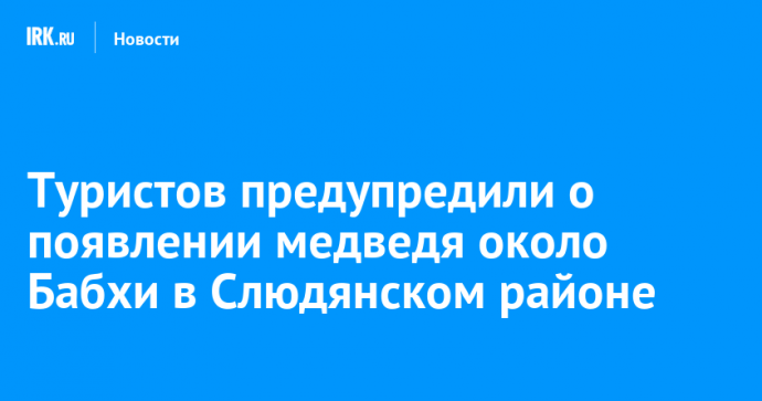 Туристов предупредили о появлении медведя около Бабхи в Слюдянском районе