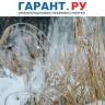 Росреестр опубликовал памятку по освоению проблемных земельных участков