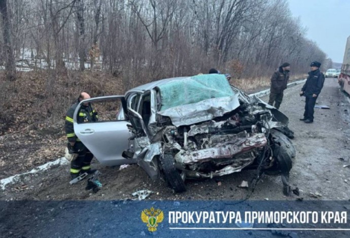 Погибли водитель и пятилетний ребенок: страшное ДТП с большегрузом произошло в Приморье