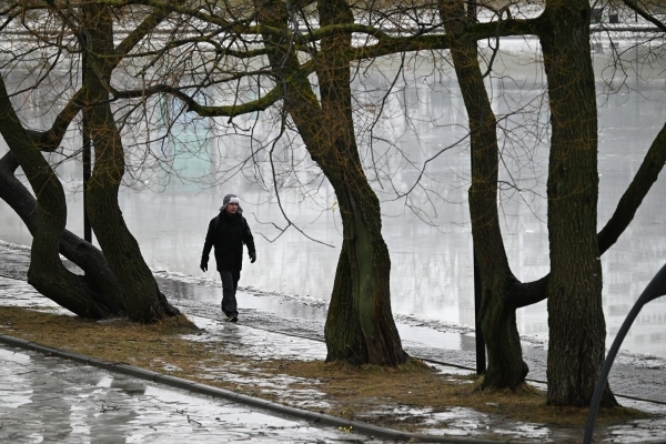 Оттепель сохранится в Москве и области до конца недели Оттепель сохранится в Москве и области до конца недели