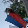 Костромские чиновники заставили патриотичную живность в поселке не жужжать
