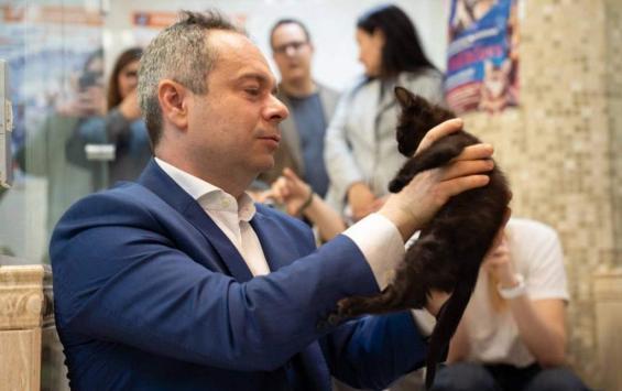Котенок из курского приграничья станет артистом театра Юрия Куклачёва