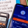 В СФ считают преждевременной идею сделать налог для самозанятых постоянным