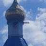ВСУ с помощью дрона атаковали храм в белгородских Ясных Зорях