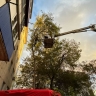 В Южно-Сахалинске спасали мужчину, застрявшего на дереве на уровне пятого этажа