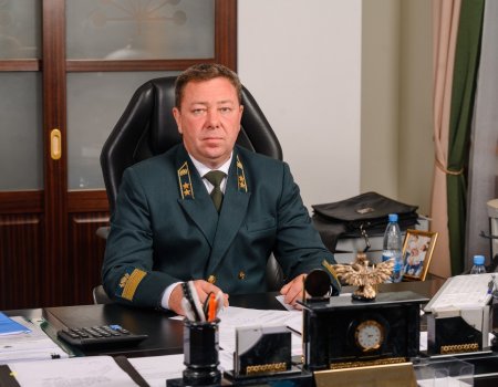 Над лесами Башкирии взлетят дроны
