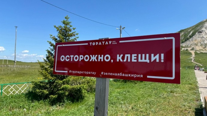 В Башкирии зафиксировали первый укус клеща