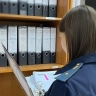 Тамбовчанин оплатил штраф за управление автомобилем в нетрезвом виде