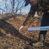Вакцину от бешенства раскладывают в амурских лесах