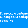 В Усть-Илимском районе медведь повредил забор на дачном участке