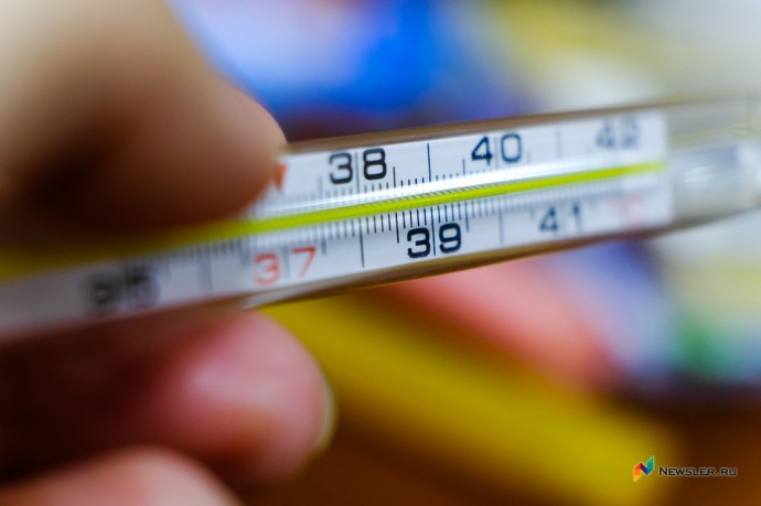 Сезон гриппа близко: что нужно знать о сезонной вакцинации и поддержке иммунитета Сезон гриппа близко: что нужно знать о сезонной вакцинации и поддержке иммунитета