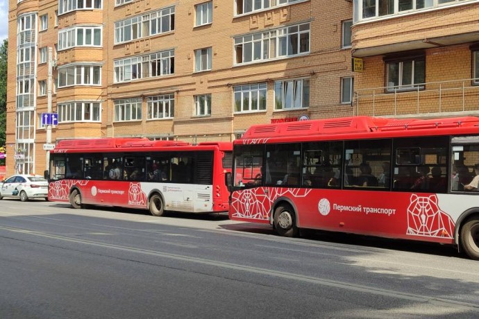 ​В День города в Перми изменят направление 14 автобусных маршрутов
