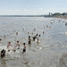 Регионы смогут штрафовать нарушителей порядка на детских пляжах