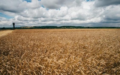 Жителей Курской области приглашают написать Всероссийский агродиктант
