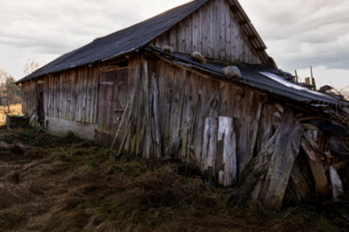 Судебные приставы «помогли» амурчанке перенести сарай