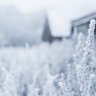 Морозно и снежно: погода в Сахалинской области 22 декабря