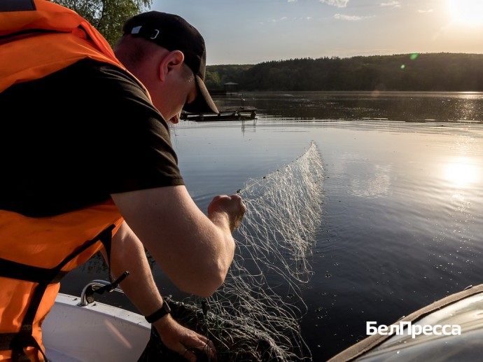 Из Белгородского водохранилища изъяли более 200 метров рыболовных сетей