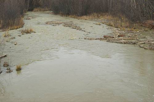 В Приамурье с золотодобытчика взыскали почти 10 миллионов рублей за загрязнение ручья