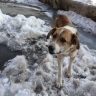 Снег с дождем и тепло до +5° обещают амурчанам синоптики