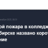 Причиной пожара в колледже в Новосибирске названо короткое замыкание