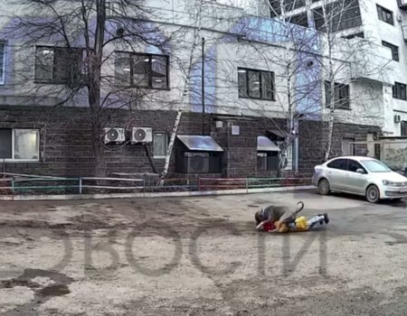 В Уфе бойцовская собака напала на ребенка В Уфе бойцовская собака напала на ребенка
