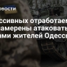 "Агрессивных отработаем": в ВСУ намерены атаковать дронами жителей Одессы