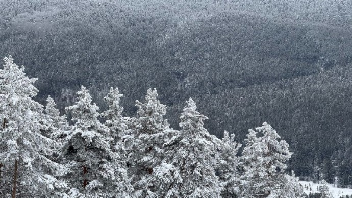 В Башкирии дали неожиданный прогноз на январь и февраль