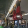 Толпы фанатов Бьянки в Костроме увезут с праздника на автобусах