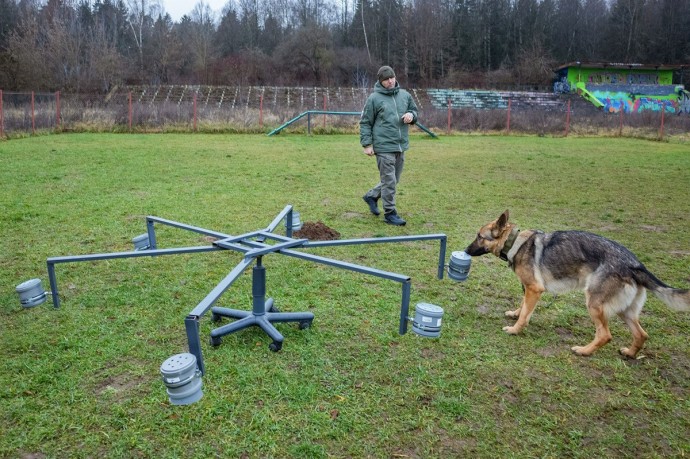 Зеленоградский кинологический центр готовит служебных собак для работы в зоне СВО Зеленоградский кинологический центр готовит служебных собак для работы в зоне СВО