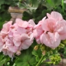 Жителей Башкирии в марте и апреле ожидает аномальная погода