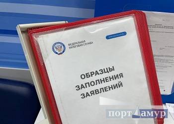 В Приамурье собрали более 104,7 миллиарда рублей налогов и сборов