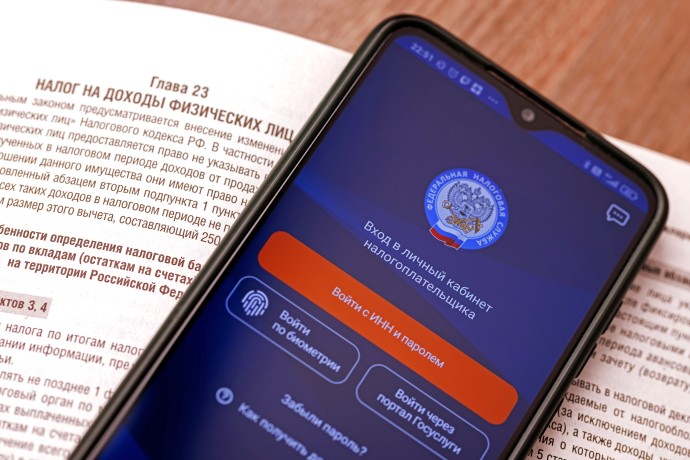 Сенатор Шендерюк-Жидков предложил доработать налоговый режим для самозанятых
