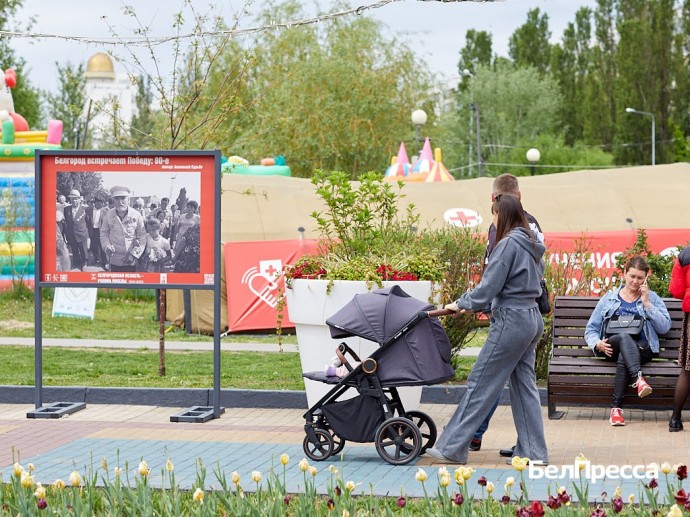Белгородцы получили единое пособие на 232 младенца без каких‑либо заявлений